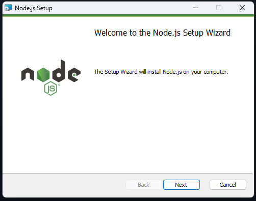 node.js setup